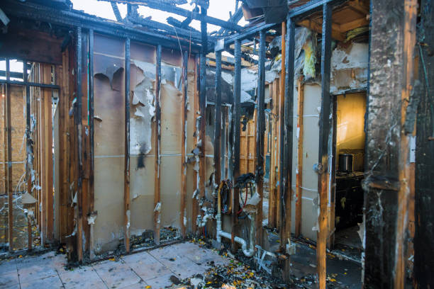 Professional Fire Damage Removal technician working in Largo, FL