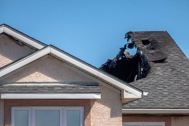Top rated local Fire Damage Removal specialists in Largo, FL